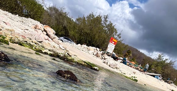 Curaçao Turtle Land & Cultural History Escape