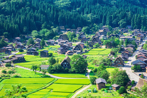 Nagoya: Excursión Histórica de un Día a Shirakawa-go, Gujo, Hida TakayamaNagoya Shirakawa-go Hida Takayama Gujo Excursión a Hachiman