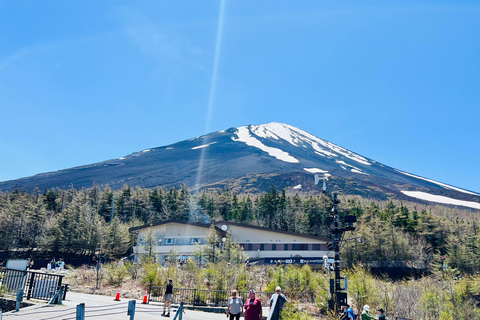 Tour privado de 1 día al Monte Fuji/Hakone desde Tokio/Yokohama