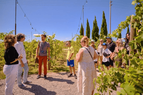 Siena, Pisa & San Gimignano Tour with Lunch and Wine Tasting