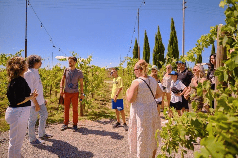 Siena, Pisa &amp; San Gimignano Tour met Lunch en Wijnproeverij