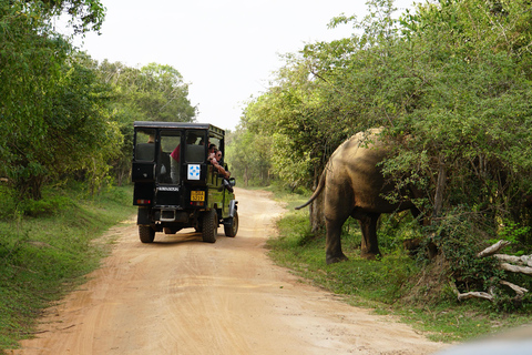 2 dagar i Sri Lanka: All-inclusive tur till Ella och Kandy med 4-stjärnigt hotell