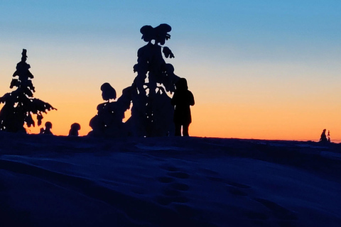 Rovaniemi: Dansa salsa under norrskenetRovaniemi: Salsadans under norrskenet