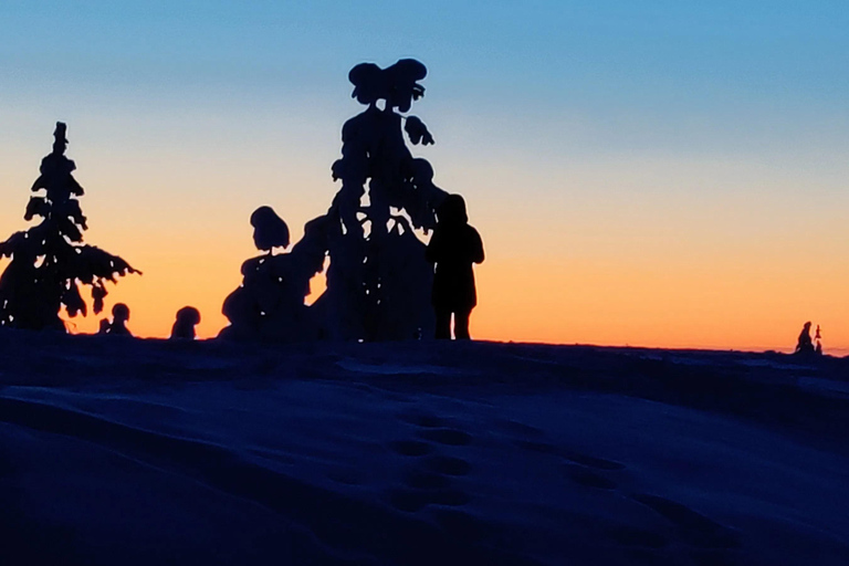 Rovaniemi: Dansa salsa under norrskenetRovaniemi: Salsadans under norrskenet