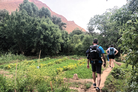 Marrakech to Fes 3 day Desert Tour Camel & luxury Tente Marrakech to Fes 3 day Desert Tour Standard Desert Tents