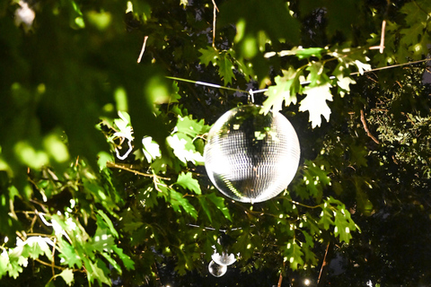Porto: Serralves Em Luz Immersive Light Show Entry Ticket
