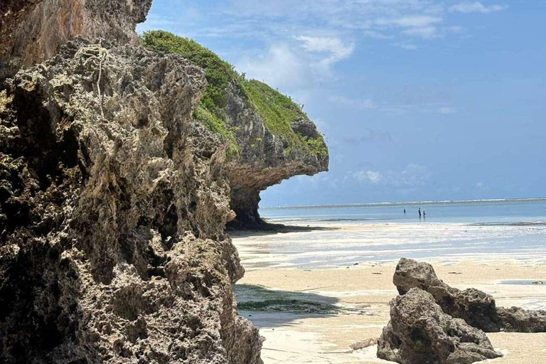Zanzibar: Clear Kayak, Salaam Cave & Mtende Beach