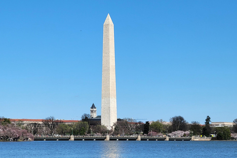 Private Washington DC Grand Tour with Changing of the Guard.