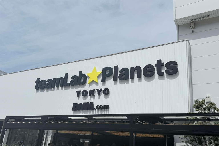 Tokyo Prestige: Luxury Chauffeur Tour with Private Guide 10 Hours Customized Tokyo Tour in Luxury Alford or Vellfire