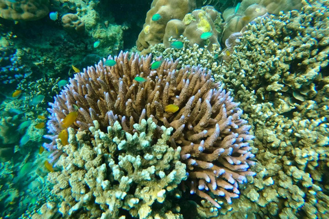 Khao Lak : Excursion de plongée en apnée dans les îles Surin avec le village Moken