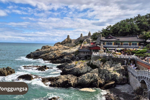 Busan: Highlights Tour with Zipline & Cable Car with Lunch