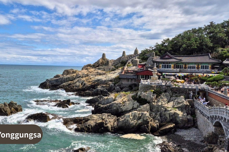 Busan: Highlights Tour with Zipline & Cable Car with Lunch
