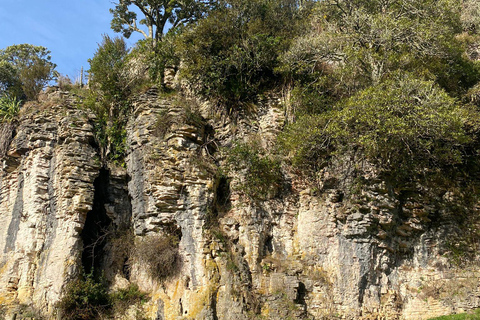 Da Auckland Waitomo Glowworm &amp; Cave Explorer Tour Privato