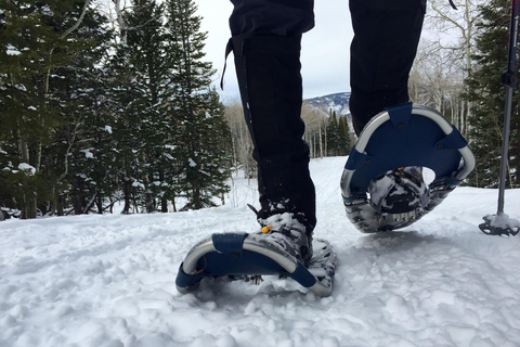 Arctic Gateway: Snowshoeing Expedition in Lapland