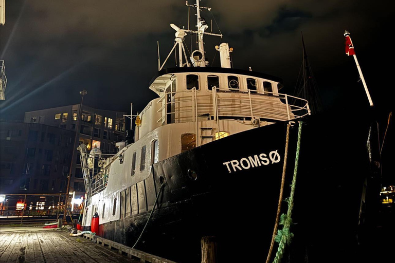 Tromsø: Avondpoolexpeditie &amp; NoordlichtcruiseTromsø: Avondexpeditie naar de pool en cruise om het noorderlicht te zien