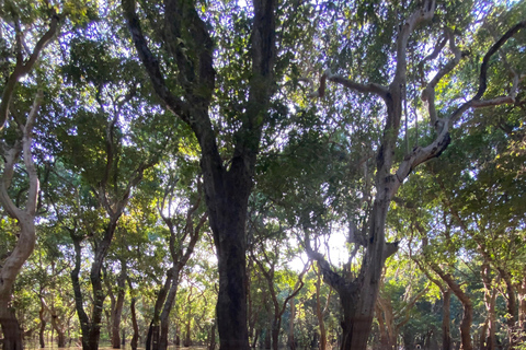 Passeio de jipe pela vila flutuante e pelo campo autêntico