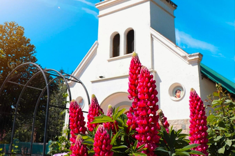 Bariloche: Full-Day El Bolsón and Puelo Lake Sightseeing Tour