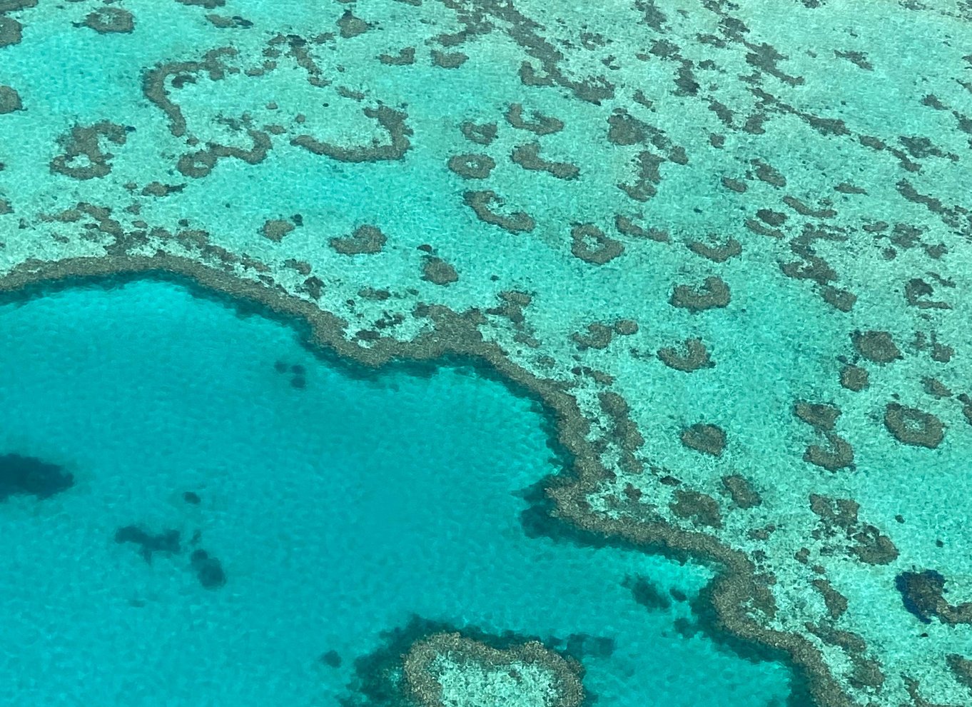 Airlie Beach: Whitsundays & Great Barrier Reef Scenic Flight