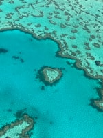 Airlie Beach, Whitsundays & Great Barrier Reef Scenic Flight - Housity