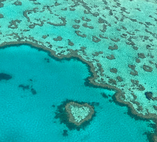 Grande Barriera Corallina: Escursioni, tour e gite da Airlie Beach