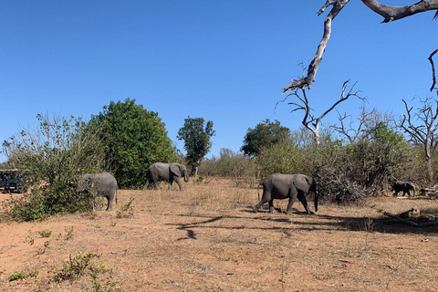 Livingstone : demi-journée d&#039;aventure au parc national de Mosi-oa-TunyaLivingstone : excursion d&#039;une demi-journée au parc national Mosi-oa-Tunya