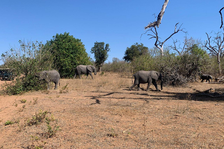Livingstone : demi-journée d&#039;aventure au parc national de Mosi-oa-TunyaLivingstone : excursion d&#039;une demi-journée au parc national Mosi-oa-Tunya