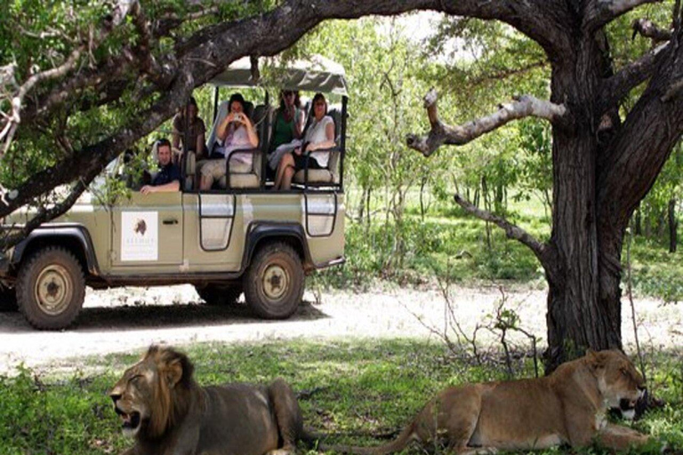 Safari 3-Days from Zanzibar to Mikumi National Park by ferry Come to meeting point "Dar es Salaam SGR station"