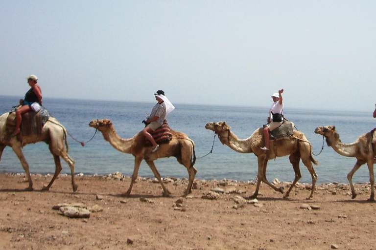 Gekleurde Canyon, Blauwe Gat & Dahab tour vanuit Sharm El SheikhGekleurde Canyon en Blue Hole Tour met entreegelden