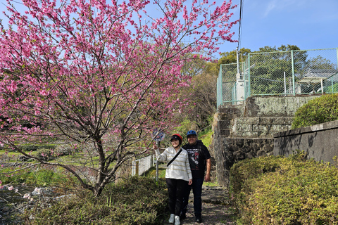 La città di Fuji: Tour panoramico in E-Bike del Monte Fuji