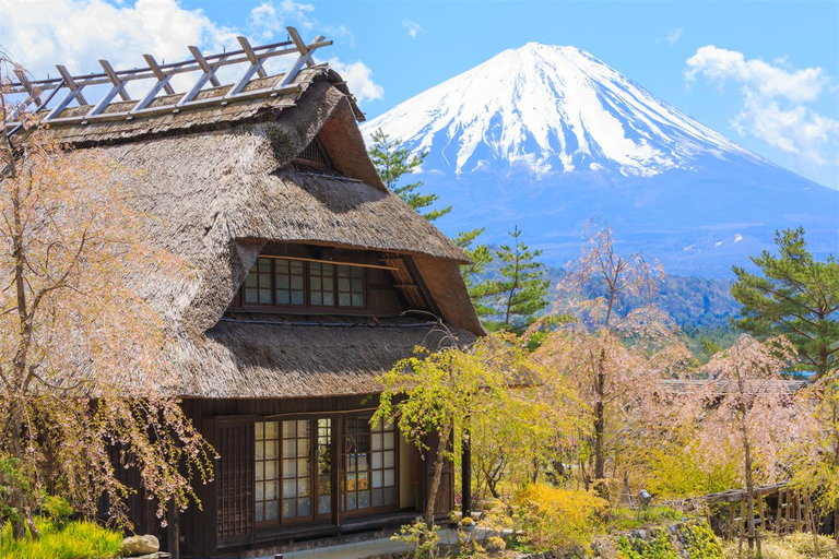Wycieczka na górę Fuji: jezioro Kawaguchi, świątynia, wioska uzdrowiskowa i pagoda8:30 Wyjazd ze stacji Shinjuku — bez lunchu