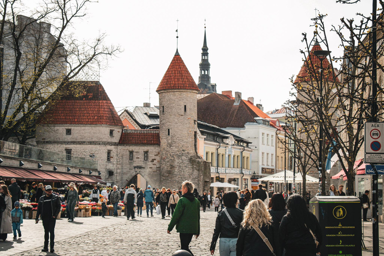 Tallinn: Old Town Guided Tour - Chocolate & Marzipan Tasting