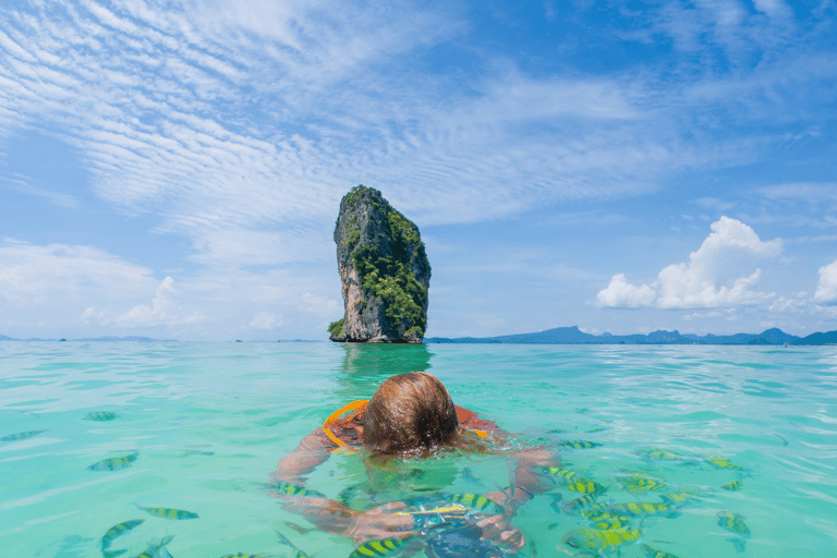 Phuket: Phi Phi, Maya Bay Include Transfer & Sea View Lunch Phi Phi Island: Exclude Hotel Roundtrip Transfer