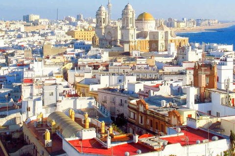 From Seville: Private Day Trip to Jerez and Cadiz