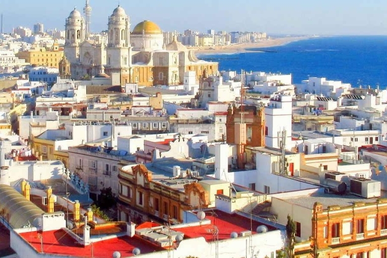 Desde Sevilla: Excursión de un día privada a Jerez y Cádiz