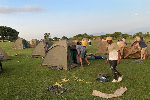 Safari en camping en grupo de 5 días por el Serengeti, Ngorongoro y ManyaraSafari en grupo de 5 días por el Serengeti, el Ngorongoro y el Lago Manyara