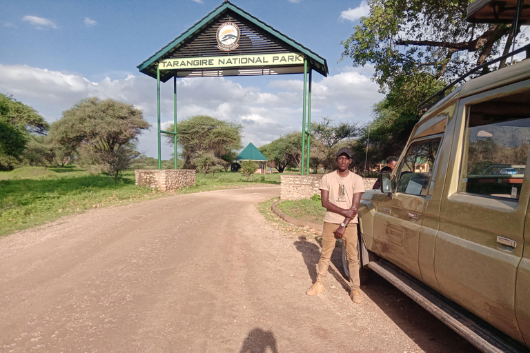 Arusha: Excursión de un día al Parque Nacional de Tarangire con safari en coche