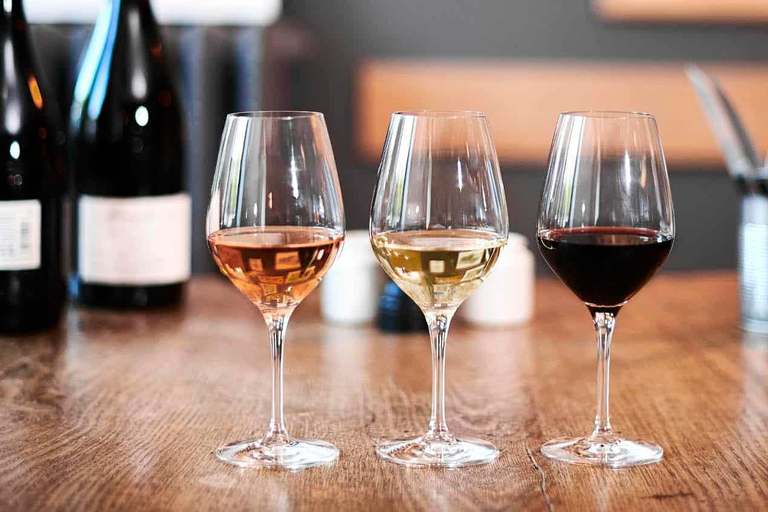 Lyon: Beaujolais Wine Tour with Tastings and Castle Visits