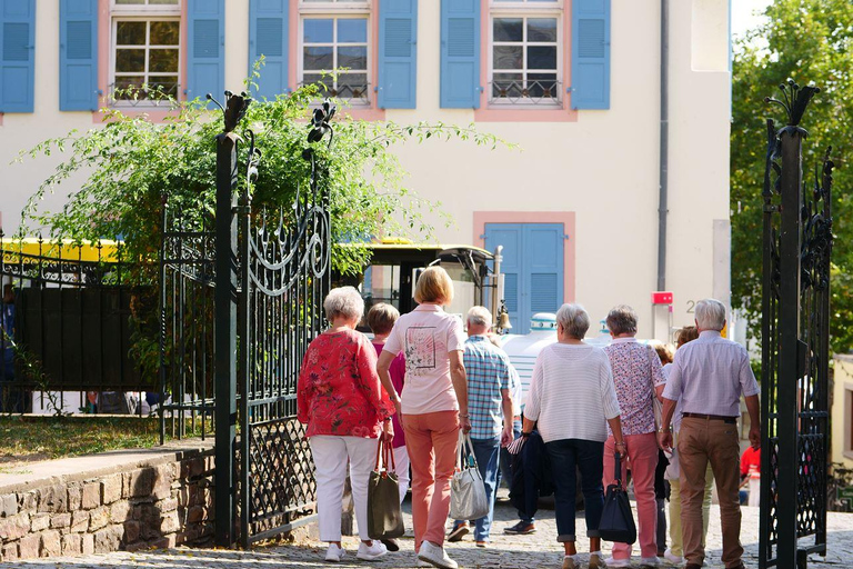 Rüdesheim am Rhein: city tour