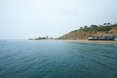 From Santa Monica: Malibu Beaches & Celebrity Homes Tour