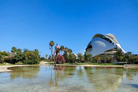 Visita privada en bicicleta por la Ciudad de las Artes y las Ciencias