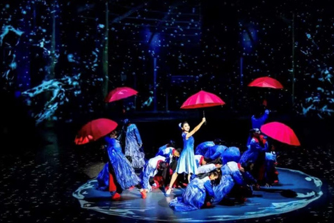 Shanghai: ERA Circus Show Ticket A Zone Show Tickets