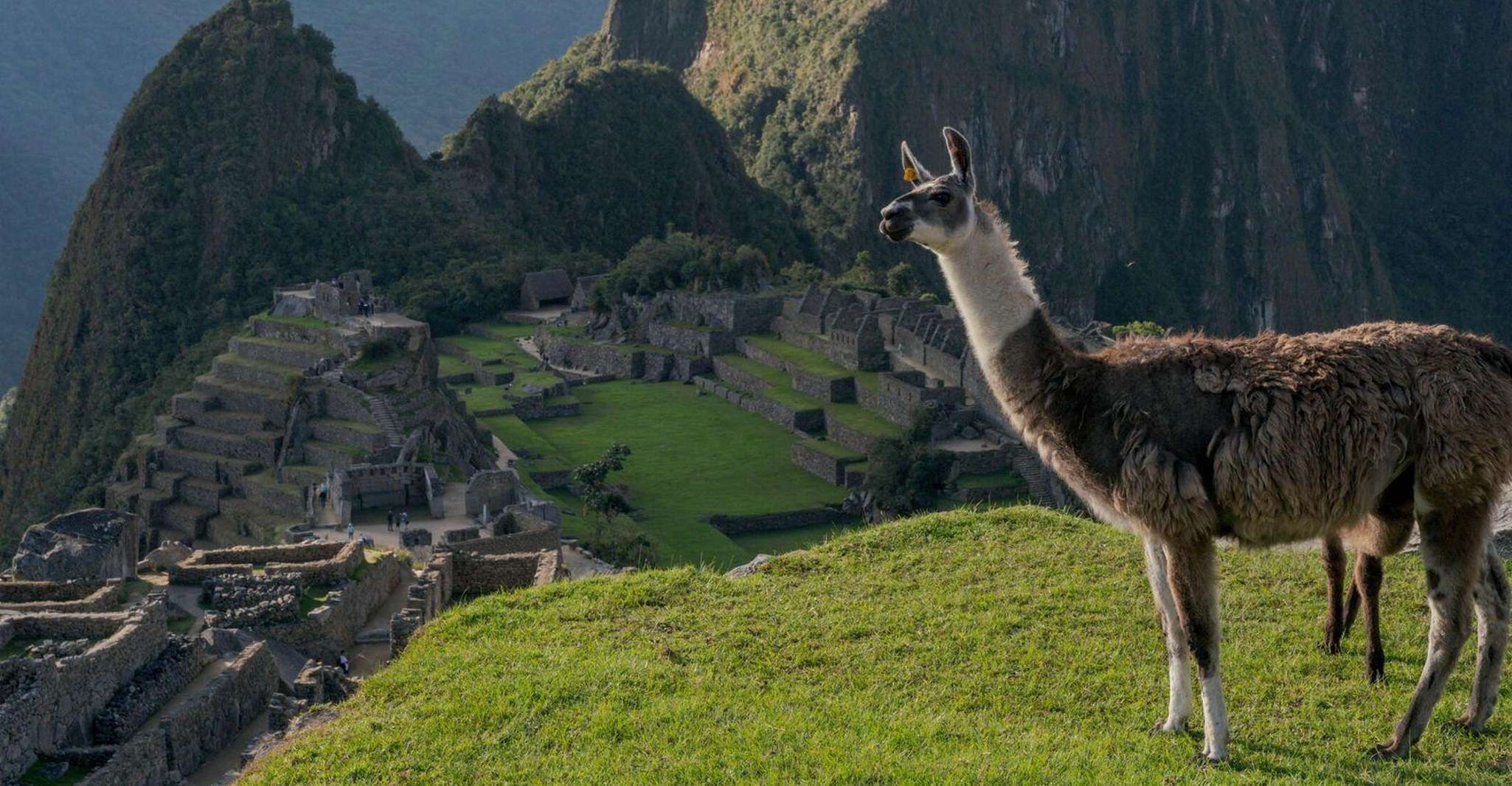 From Cusco , Machu Picchu + Huayna Picchu mountain - Housity