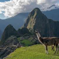 From Cusco , Machu Picchu + Huayna Picchu mountain - Housity