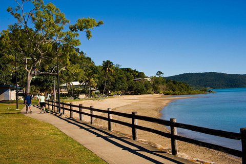 Whitsundays: Distillery, Brewery & Beach Bar Tour