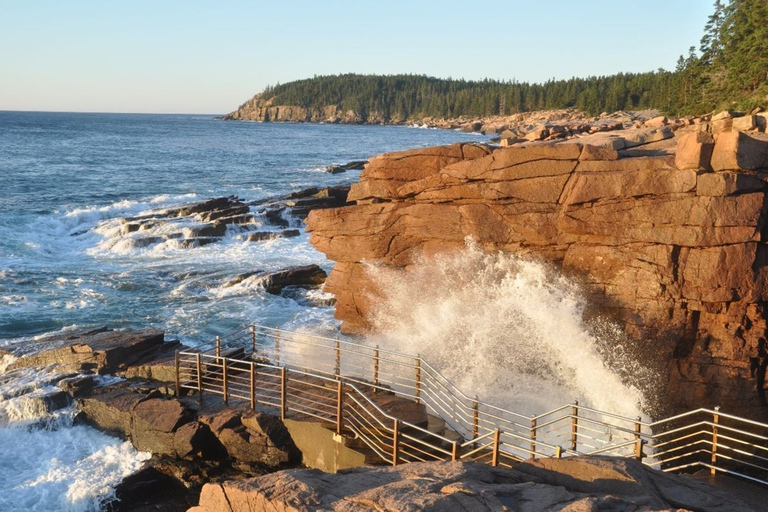 Bar Harbor: tour del parco nazionale di Acadia con rotolo di aragosta