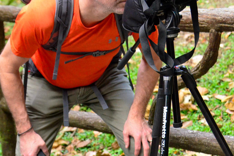 La Fortuna: Tour dei ponti sospesi e della zip line con pranzo