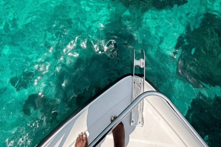 Muscat: Snorkeltur till ön Dimaniyat