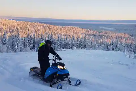 Arvidsjaur: 2-hour snowmobile tour in Swedish Lapland