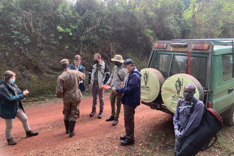 Excursión de 5 días a Uganda; Bwindi, Lago Bunyonyi &amp;Queen Elizabeth NpTour de 5 días y 4 noches por Bwindi, el Lago Bunyonyi y la Reina Isabel