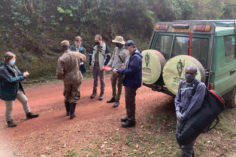 Excursión de 5 días a Uganda; Bwindi, Lago Bunyonyi &amp;Queen Elizabeth NpTour de 5 días y 4 noches por Bwindi, el Lago Bunyonyi y la Reina Isabel